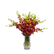 Tinted Yellow Dendrobium Sonia Orchids