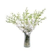 White Dendrobium Orchids