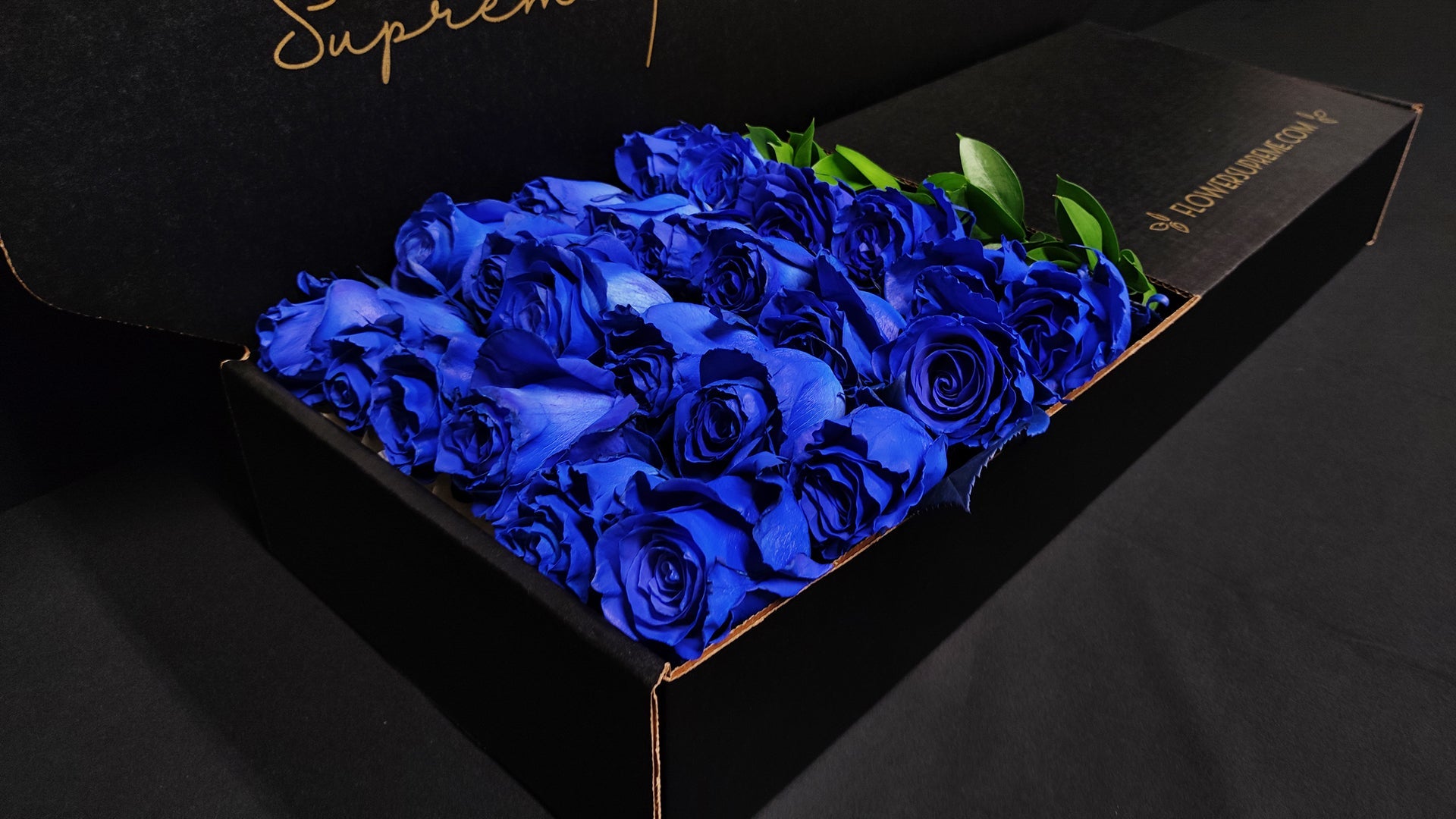 Specialty Roses - Blue – eflowerwholesale