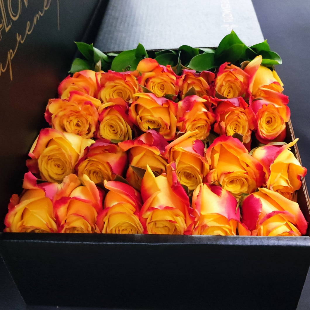 Hybrid Tea Roses - Yellow & OrangeRed Border