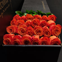 Load image into Gallery viewer, Hybrid Tea Roses - Orange Crush
