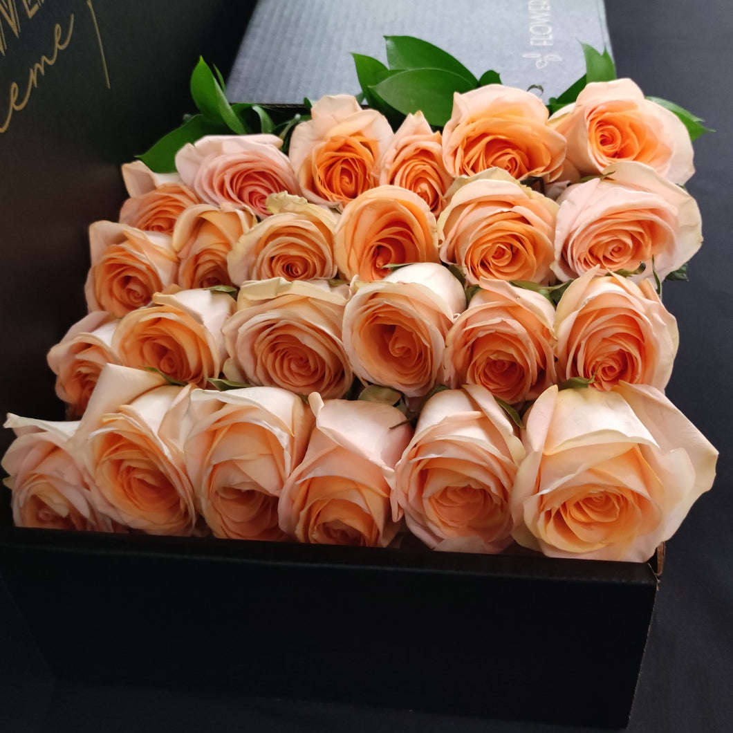 Hybrid Tea Roses - Peach