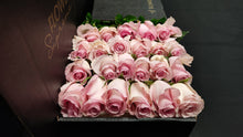 Load image into Gallery viewer, Hybrid Tea Roses - Light Pink
