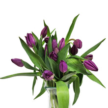 Load image into Gallery viewer, Purple Tulips
