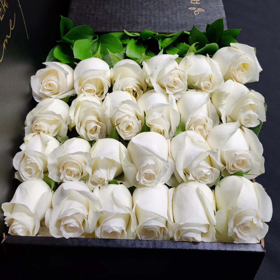 Hybrid Tea Roses - White