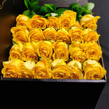 Load image into Gallery viewer, Hybrid Tea Roses - Yellow
